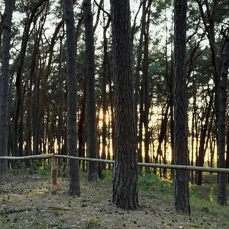 Apartamento Hevenia 14 Nadmorski Wiatr- *