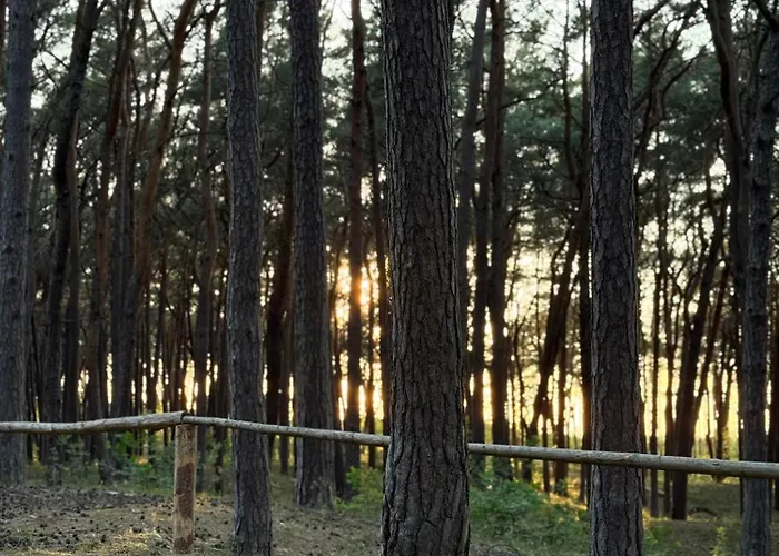 Apartamento Hevenia 14 Nadmorski Wiatr- *